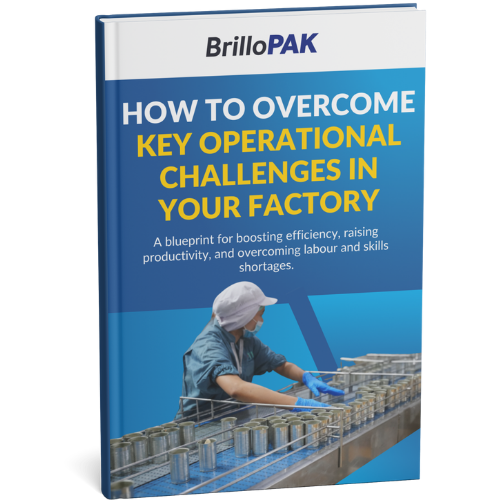 BrilloPak mockup 2 BrilloPak mockup 2