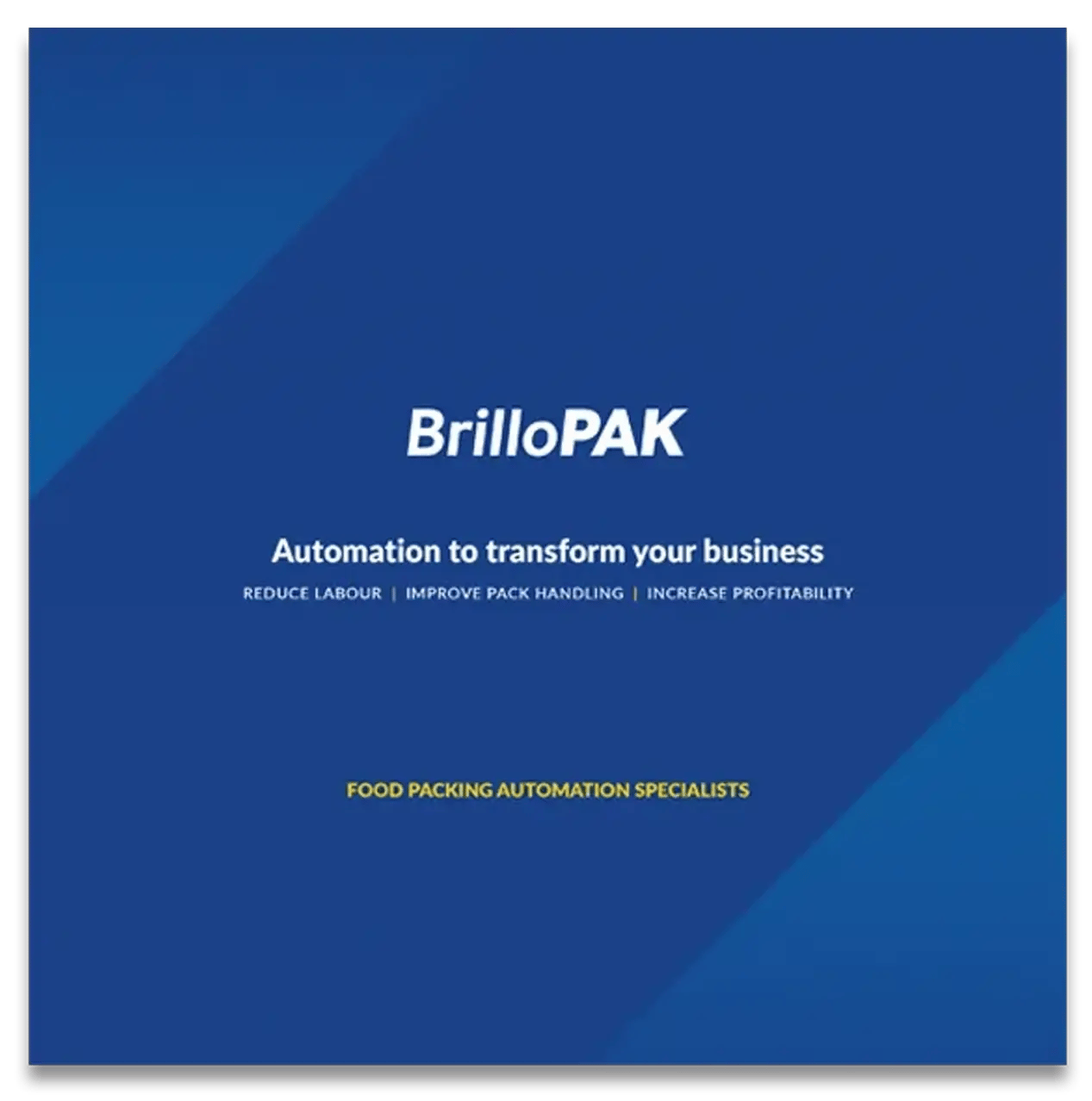 brillopak-brochure