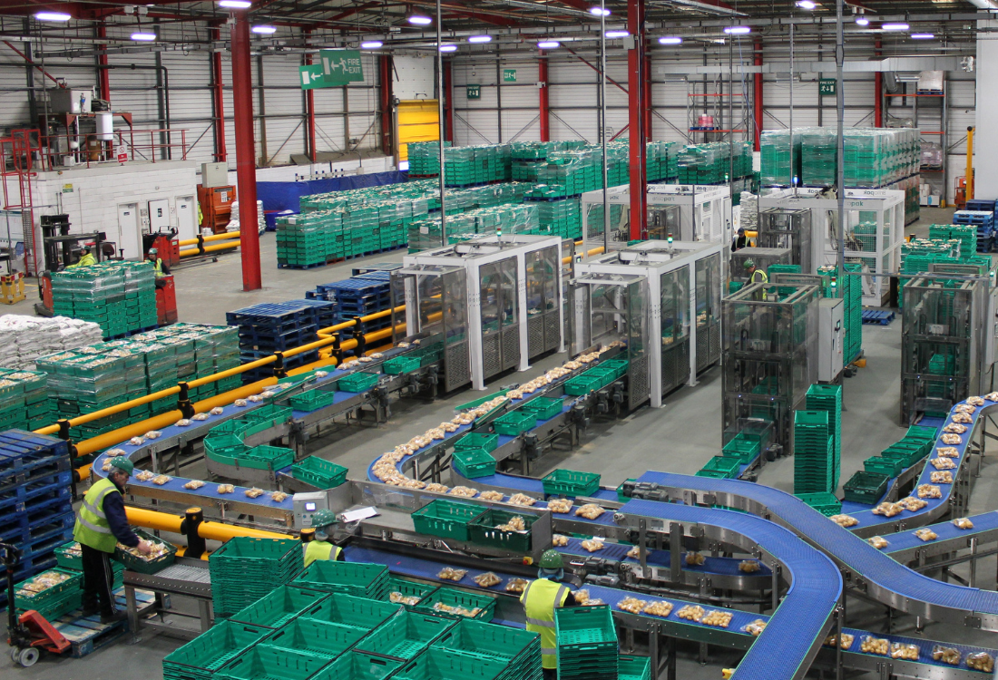 Automated palletising and packing systems in a high-efficiency food production facility that are beneficial for reducing manual handling risks and improving worker safety.