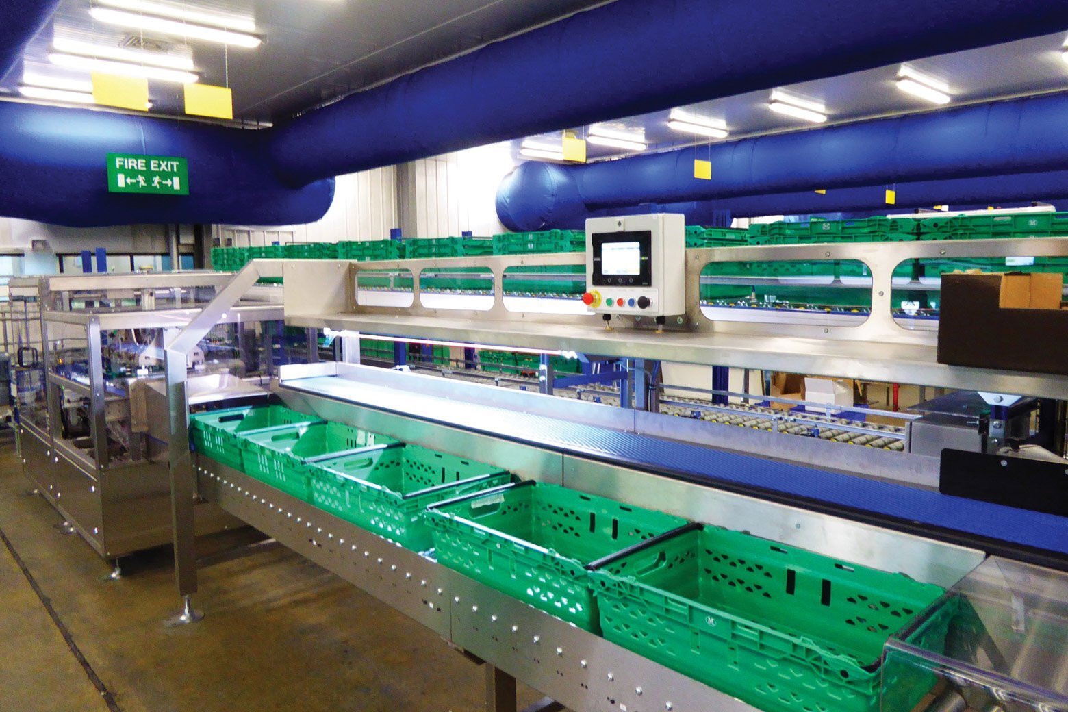 automated case packers