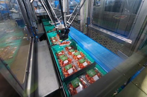 Automated pick and pack machine handling fresh produce, illustrating the importance of regular maintenance and correct operation to maximise equipment lifespan in food packing environments.