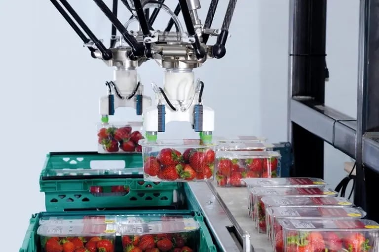 brillopak-automation-top-tips-look-after-your-machine-768x511-1