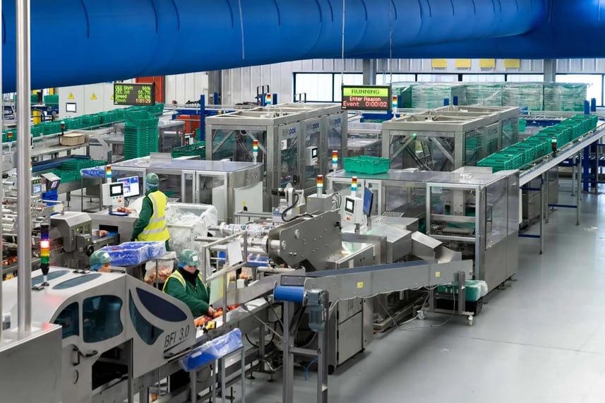 brillopak-morrisons-case-packing-automation