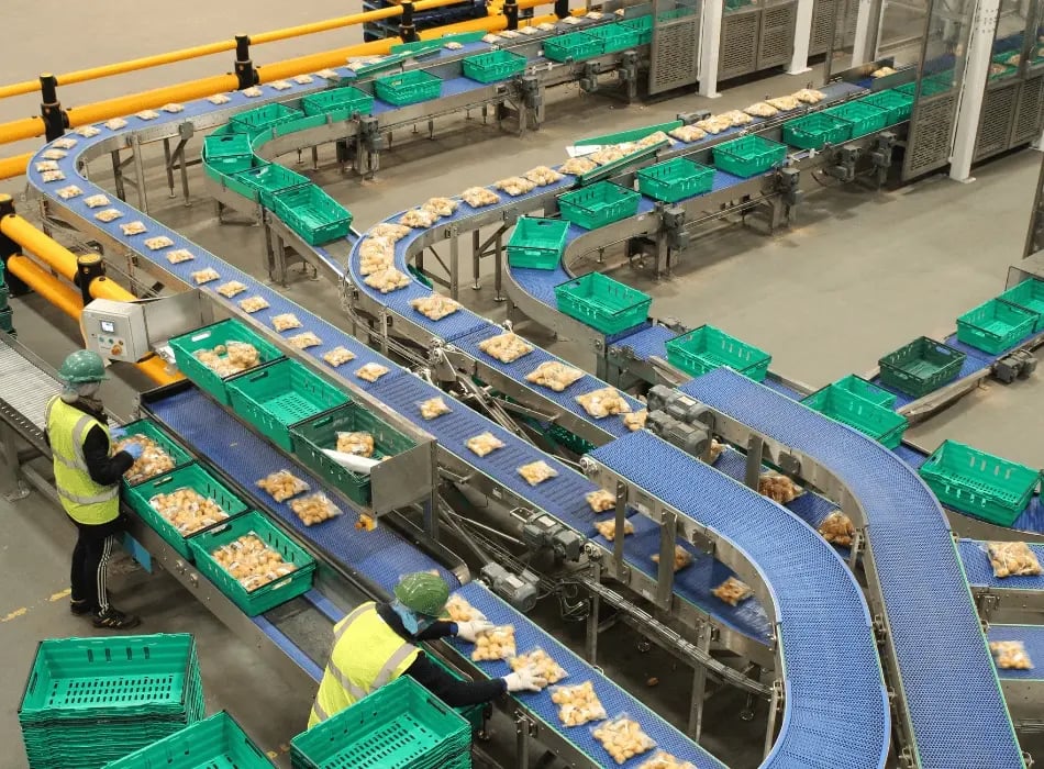 decoding-the-right-end-of-line-automation-solution-for-your-business