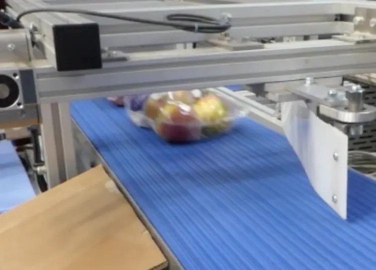 May the Force Not Be With You: Electronic Apple Eliminates Bruising