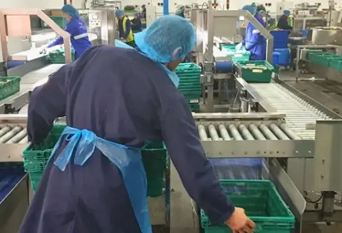 end-of-line-automation-for-machinery-savings-and-staff-retention