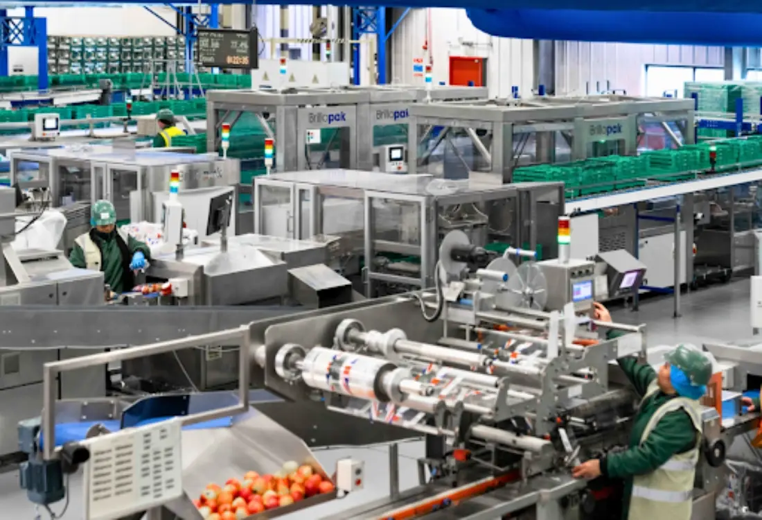 reconfigurable-modular-automation-for-packing-lines